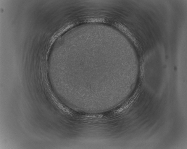 X0000086110721200704091417