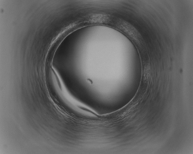 X0000086110722200704091417