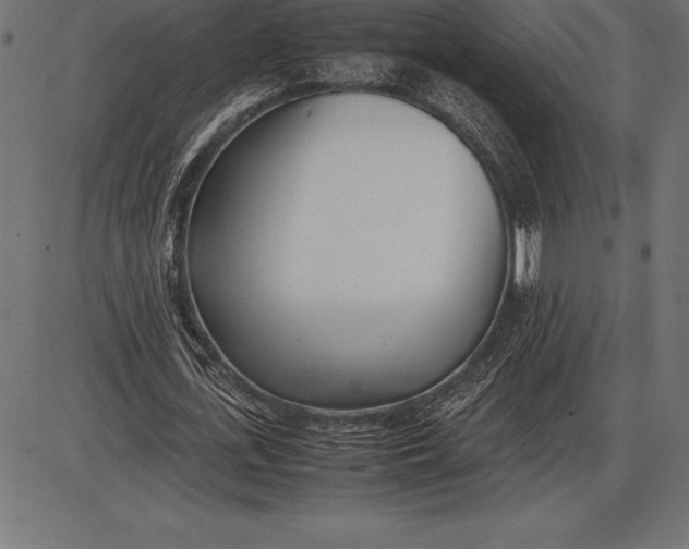 X0000086110723200704091417