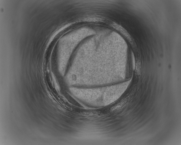 X0000086110724200704091417