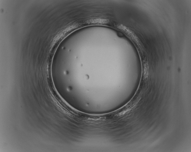 X0000086110725200704091417