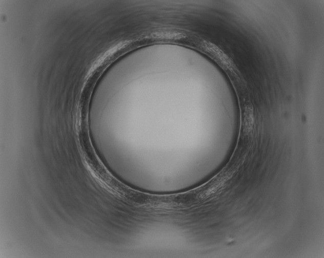 X0000086110726200704091417