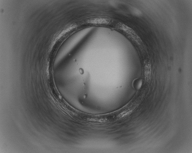 X0000086110727200704091417