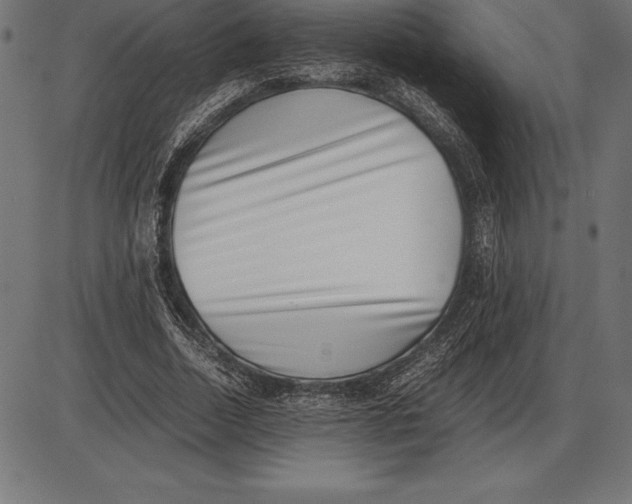 X0000086110730200704091417