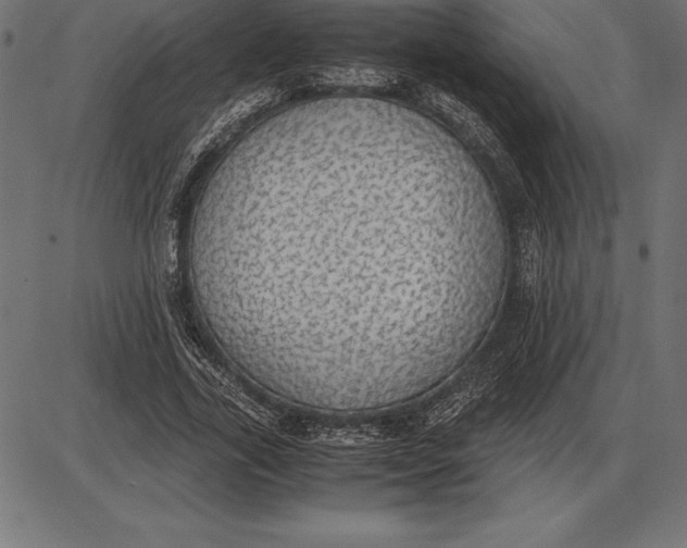 X0000086110731200704091417