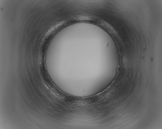 X0000086110732200704091417