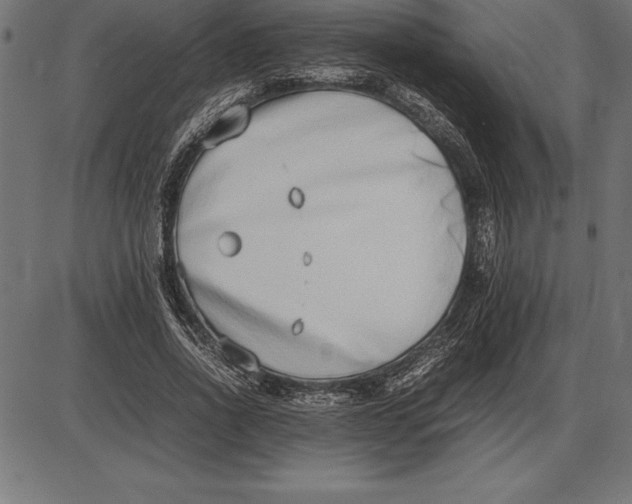 X0000086110734200704091418