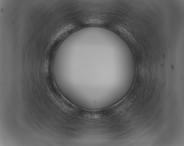 X0000086110735200704091418