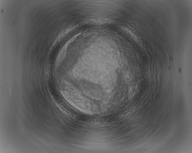 X0000086110736200704091418