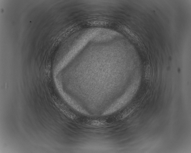 X0000086110737200704091418