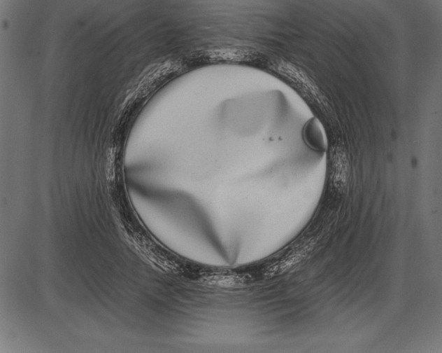 X0000086110738200704091418