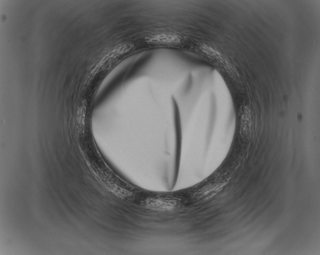 X0000086110739200704091418