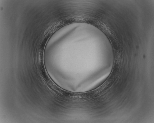 X0000086110740200704091418