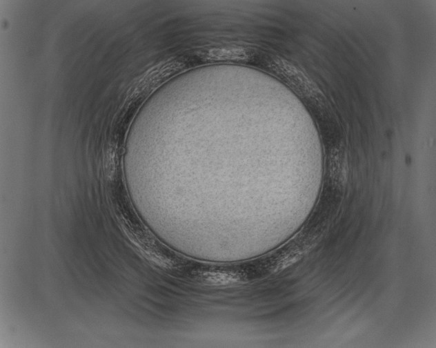 X0000086110741200704091418