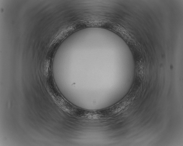 X0000086110742200704091418