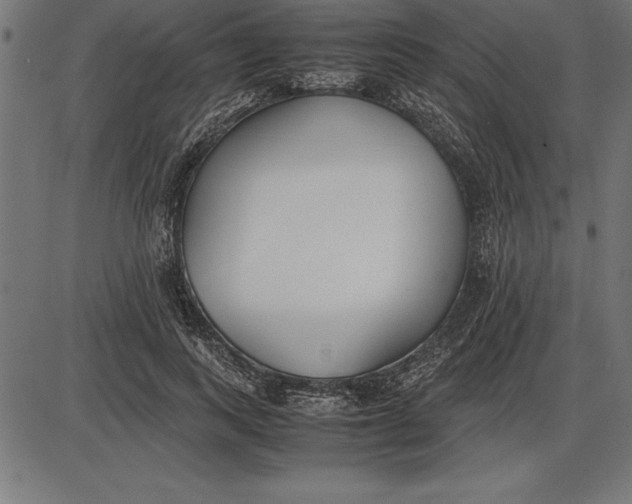 X0000086110743200704091418