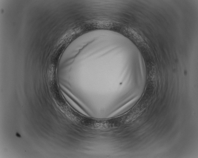 X0000086110744200704091418