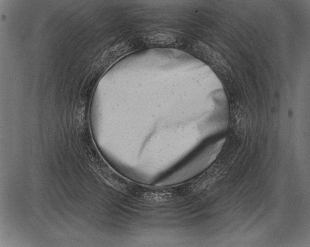 X0000086110745200704091418