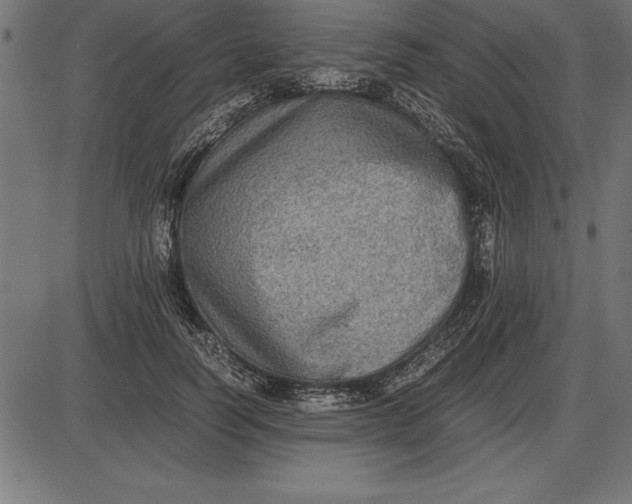 X0000086110746200704091418