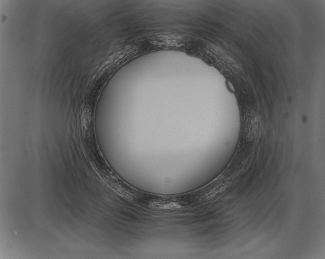 X0000086110747200704091418