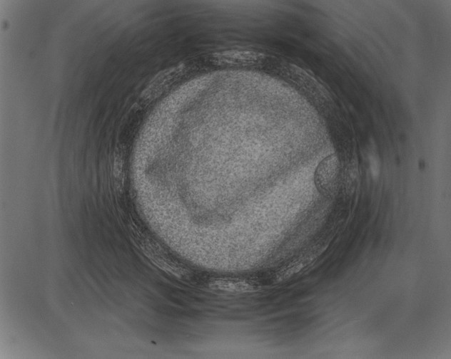 X0000086110749200704091418