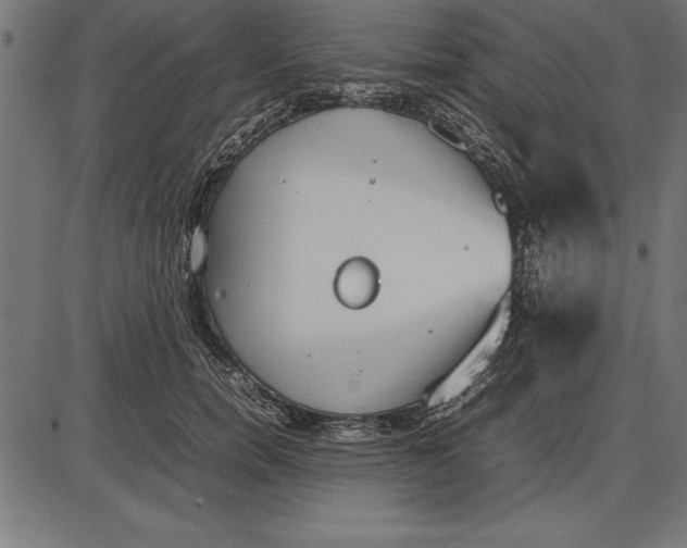 X0000086110750200704091418