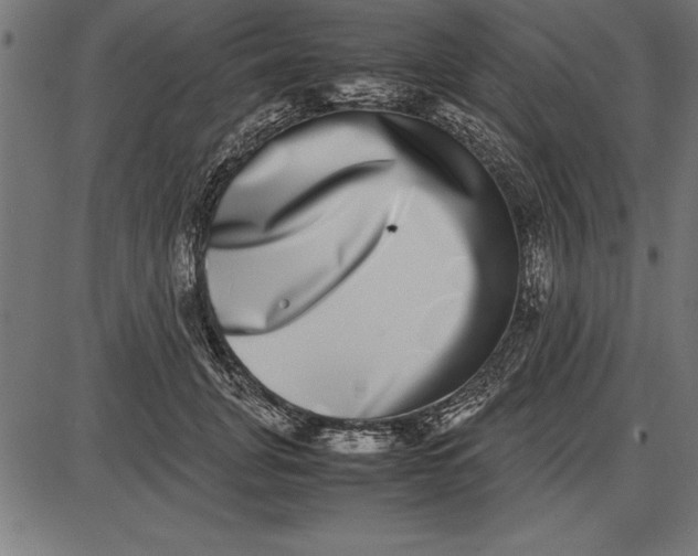 X0000086110751200704091418