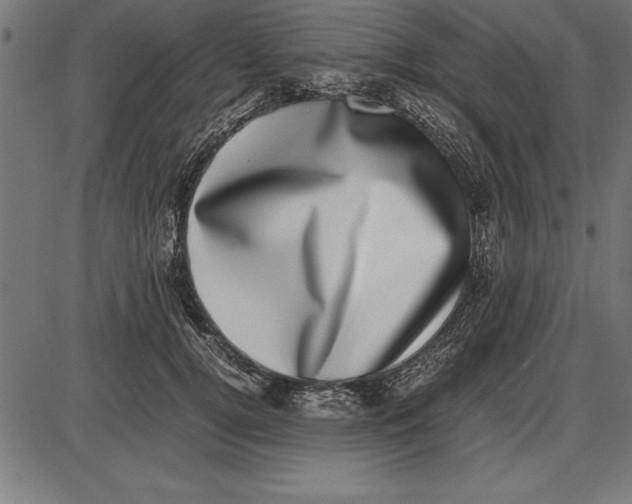 X0000086110752200704091418