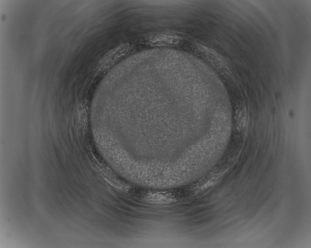 X0000086110753200704091418