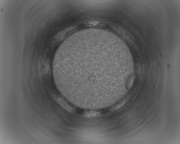 X0000086110754200704091418