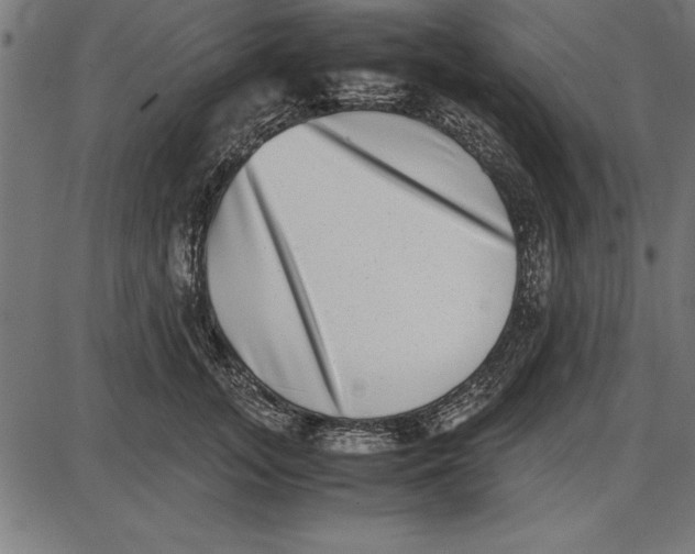 X0000086110755200704091418