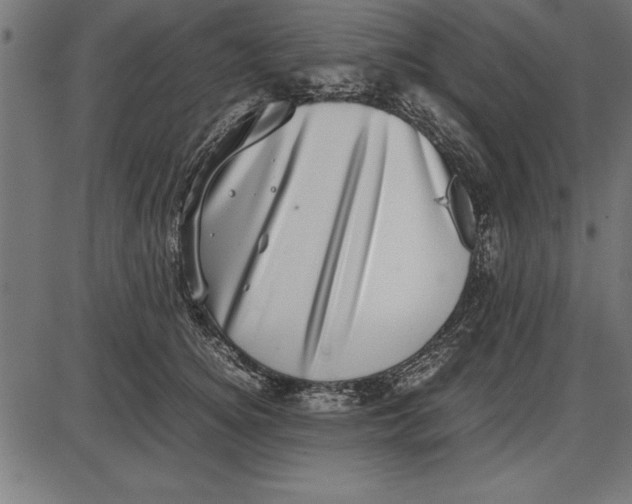 X0000086110756200704091418