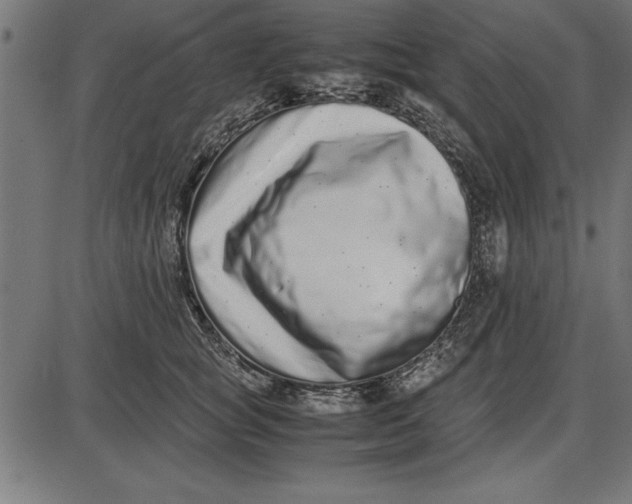 X0000086110757200704091418