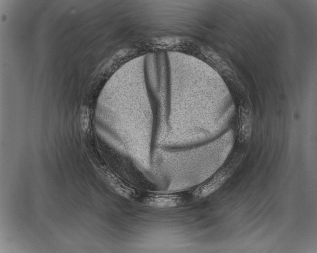 X0000086110758200704091418