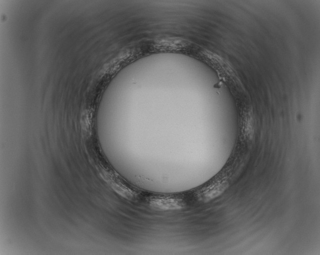 X0000086110759200704091418