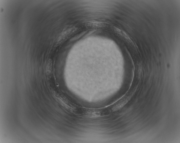 X0000086110760200704091418