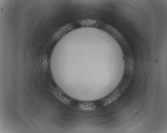 X0000086110761200704091418