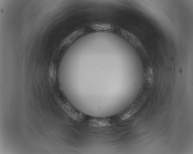 X0000086110763200704091418