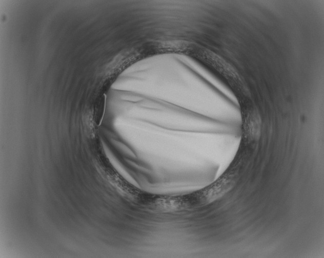 X0000086110764200704091418