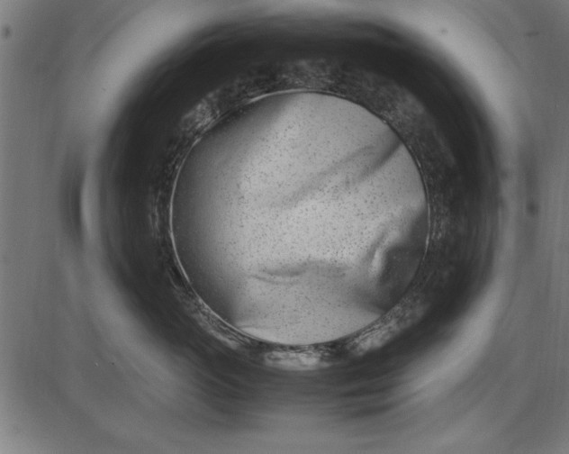 X0000086110765200704091418