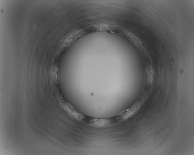 X0000086110766200704091418