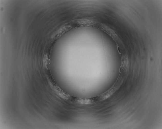 X0000086110767200704091418