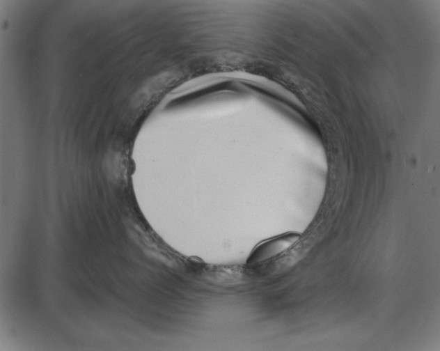 X0000086110768200704091418