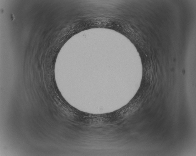 X0000086110769200704091417