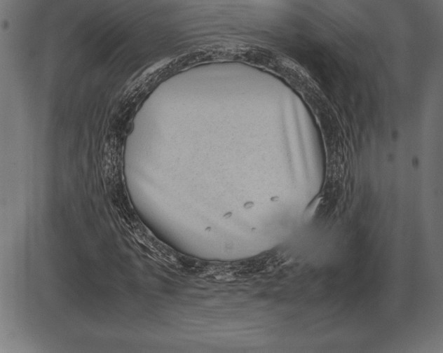 X0000086110773200704091417