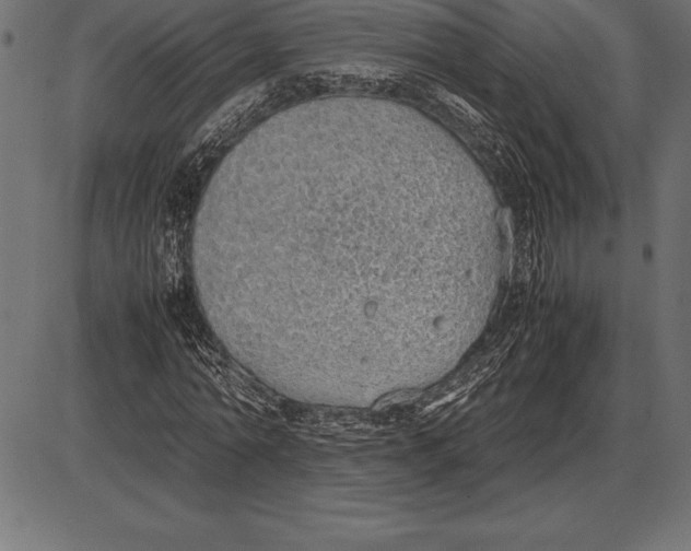 X0000086110774200704091417