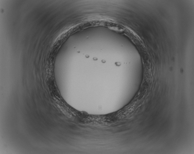 X0000086110775200704091417