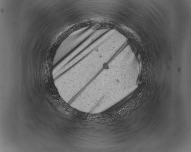 X0000086110776200704091417