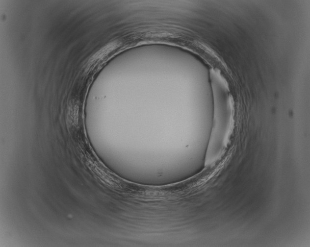 X0000086110777200704091417