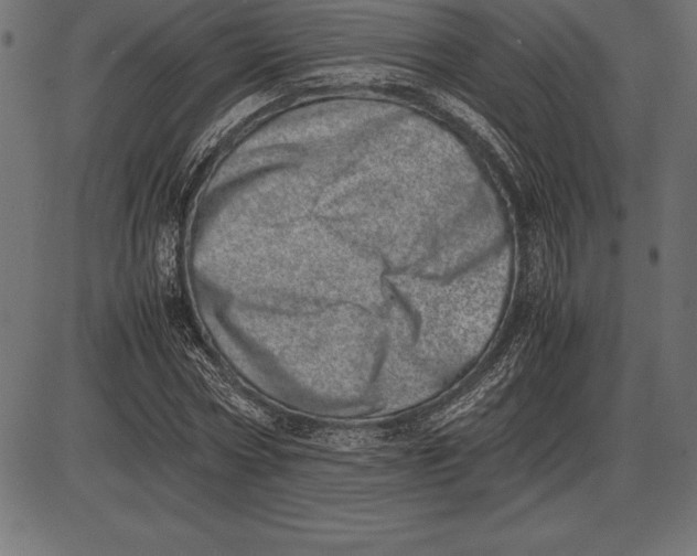 X0000086110778200704091417